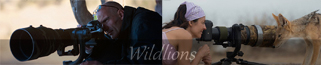 http://www.wildlions.eu